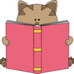 Kittysbook.Com Focus on KittysBook