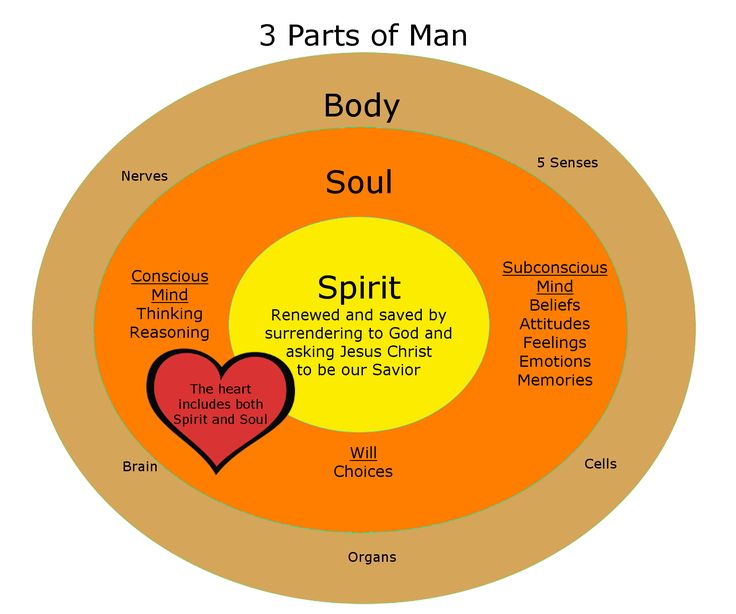 Kittysbook.com Dimensions of Man